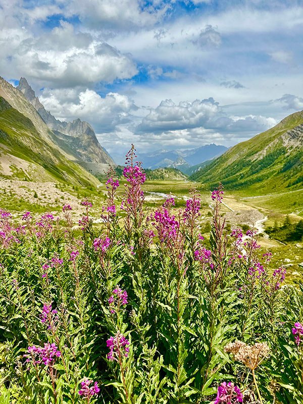 Mont Blanc