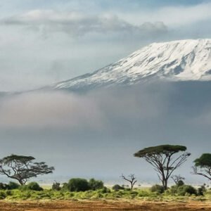 Tansanía: Gönguferð á Mt. Meru og Kilimanjaro janúar 2025